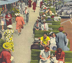 postcard of more benches